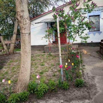 Василя Стуса вул.