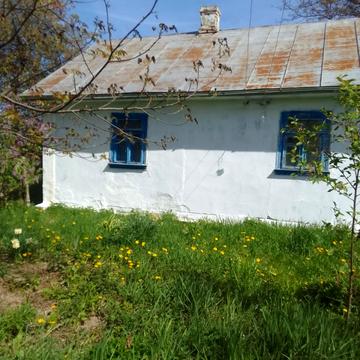 Грушевського