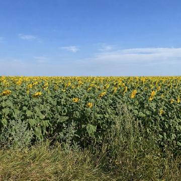 Жашків, Уманський, Черкаська область 39800.0 USD