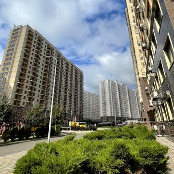 Перлинна вул., 6