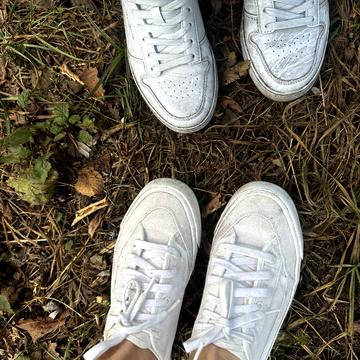 Старе, Бориспільський, Київська область 30000.0 USD