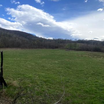 Туриця, Ужгородський, Закарпатська область 11000.0 USD