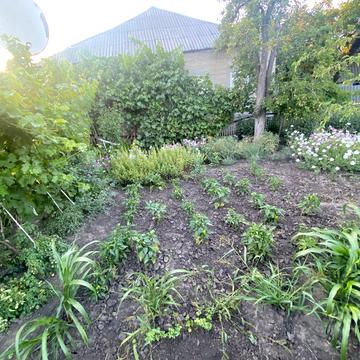 Красноармійстка