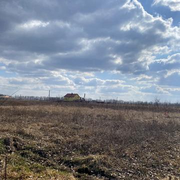 Світанковп