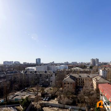 Митрополита Василя Липківського вул. (Урицького), 38