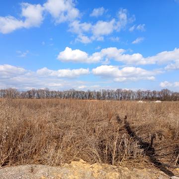 Левка Лукяненка вул. (Ватутіна)