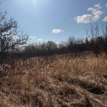 масив Надія