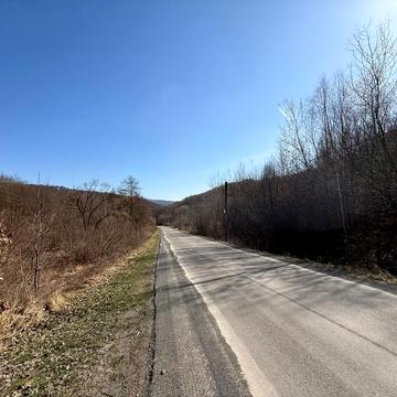 Гута, Ужгородський, Закарпатська область 10000.0 USD