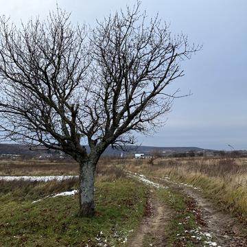 Оноківці, Ужгородський, Закарпатська область 10000.0 USD