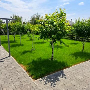 Садова вул.