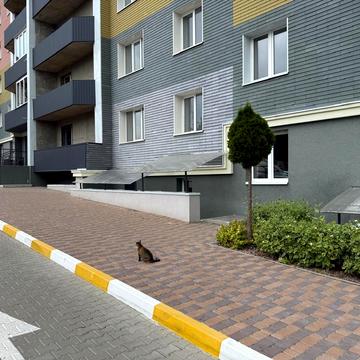 Олександра Саєнка вул., 11