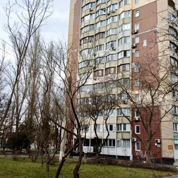 Князя Володимира Великого просп., 100