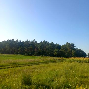 Гланишів, Бориспільський, Київська область 9000.0 USD