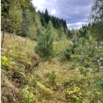 Східниця, Дрогобицький, Львівська область 10500.0 USD