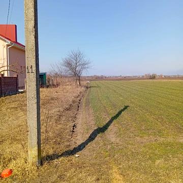 Лісова