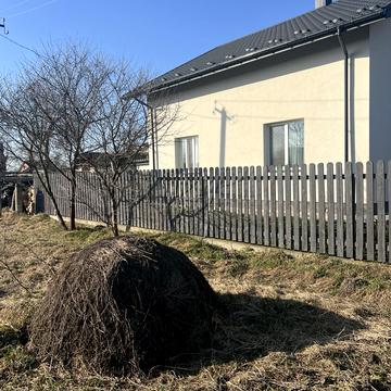 Михайла Коцюбинського