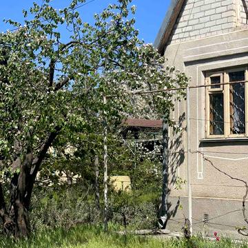 Виноградна, 12