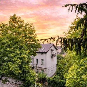 Лукяна Кобилиці вул., 3