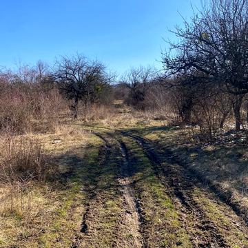 Гута, Ужгородський, Закарпатська область 11500.0 USD