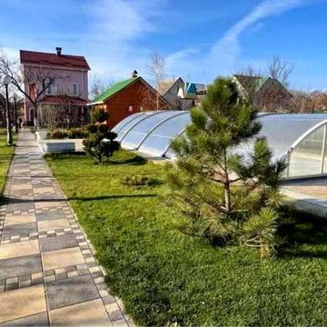 центральна