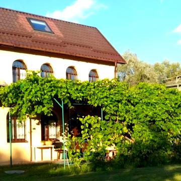 Центральна, 1