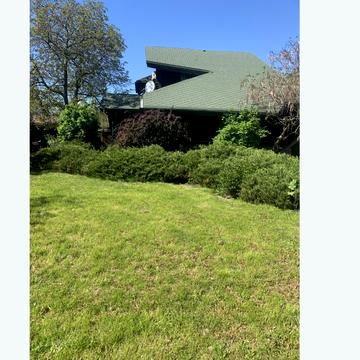 Центральна вул.