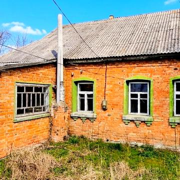 толочина, 186