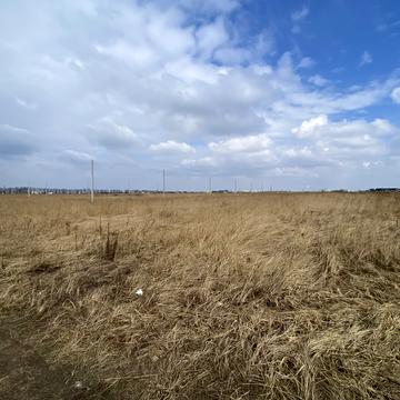 Майбороди Платона, 48