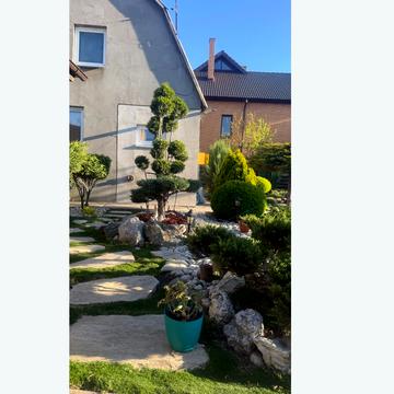 Центральна вул.