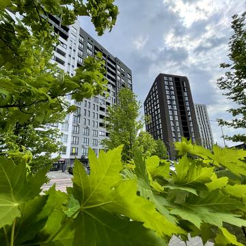 Панорамна вул., 2