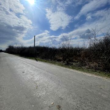 Тарнівецька