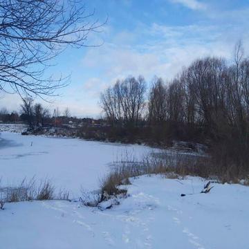 Центральна