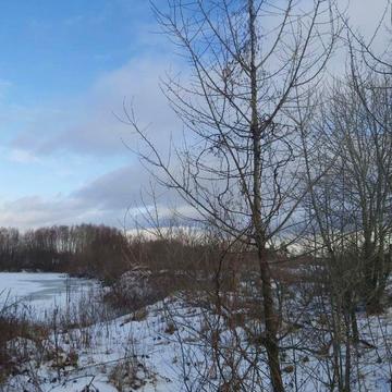 Центральна