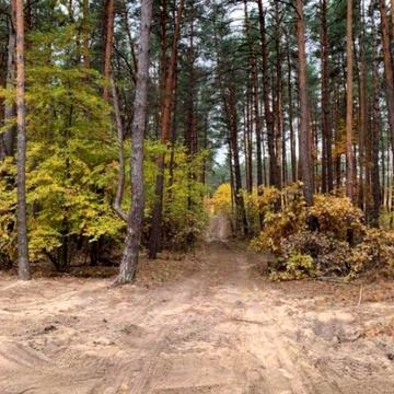 Київська вул.