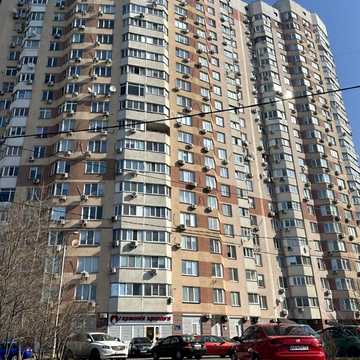 Олени Пчілки вул., 2