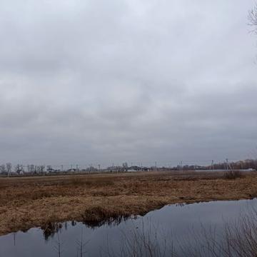 Мисливська