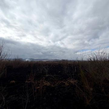 Гошів, Калуський, Івано-Франківська область 7500.0 USD