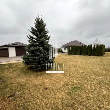 Мазепи Івана