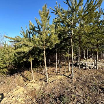 Курбаса вул., 41