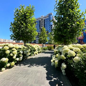 Спортивна вул., 3/2