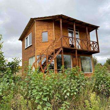 Володимирська вул., 217