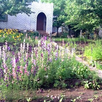 Садове товариство Хорошево