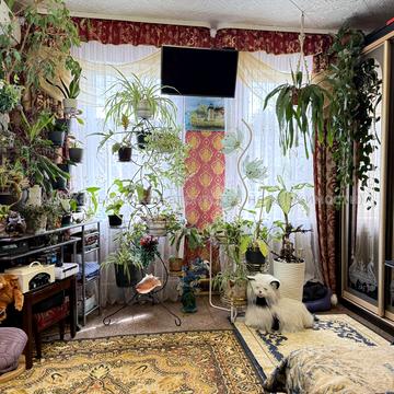 Нахічеванський пров., 10