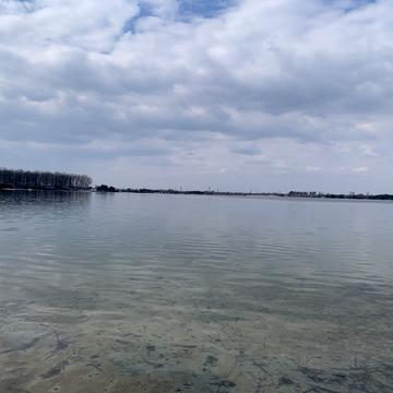 Дроговиж, Стрийський, Львівська область 88000.0 USD