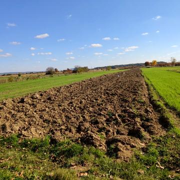 Тарнівецька вул.