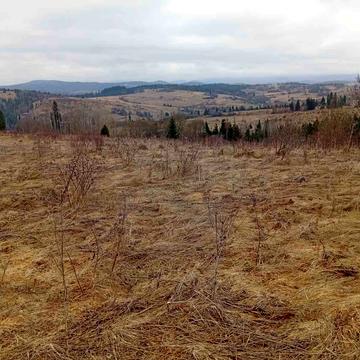 Комарники, Самбірський, Львівська область 15500.0 USD