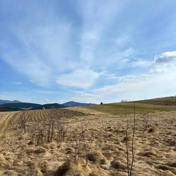 Завадівка, Самбірський, Львівська область 22200.0 USD