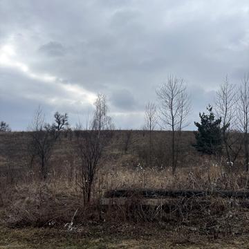 Чубинського, 69