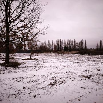 Соловїна, 70