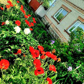 Садова вул., 44